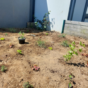 20250429_135129(1) (1)